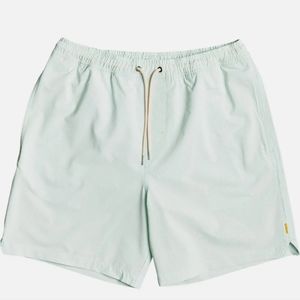 Quiksilver mint striped swim trunks